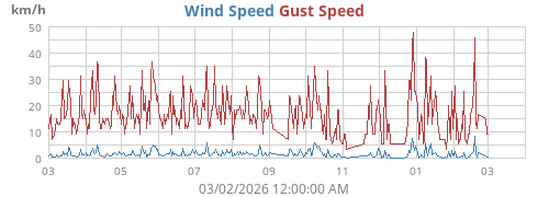 yearwind